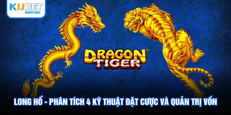 Long Hổ - Phân Tích 4 Kỹ Thuật Đặt Cược Và Quản Trị Vốn